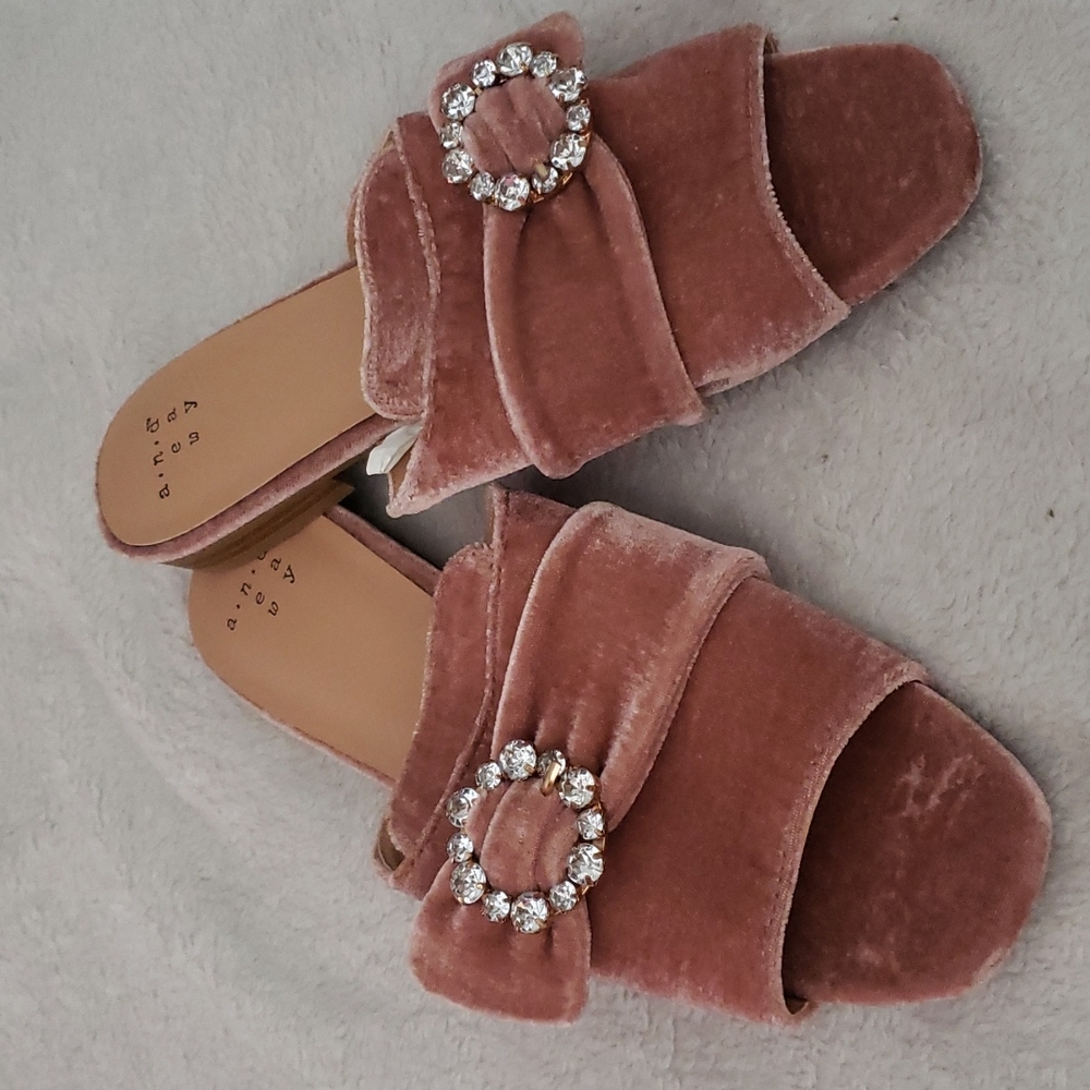 A. New day mule